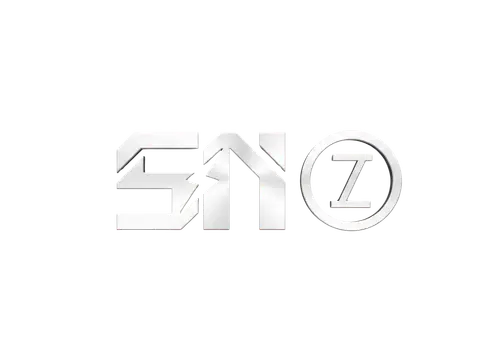 Shiny Electronic Logo